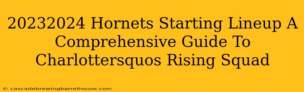 20232024 Hornets Starting Lineup A Comprehensive Guide To Charlottersquos Rising Squad