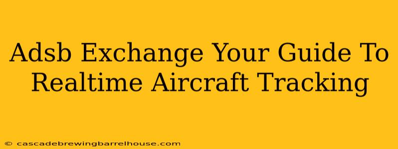 Adsb Exchange Your Guide To Realtime Aircraft Tracking