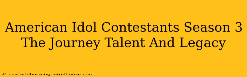 American Idol Contestants Season 3 The Journey Talent And Legacy