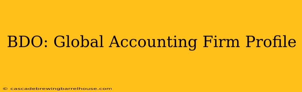 BDO: Global Accounting Firm Profile