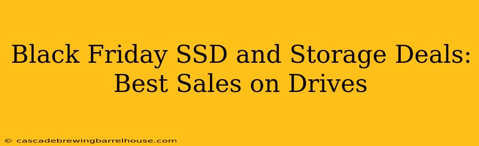 Black Friday SSD and Storage Deals: Best Sales on Drives