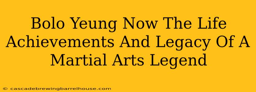 Bolo Yeung Now The Life Achievements And Legacy Of A Martial Arts Legend