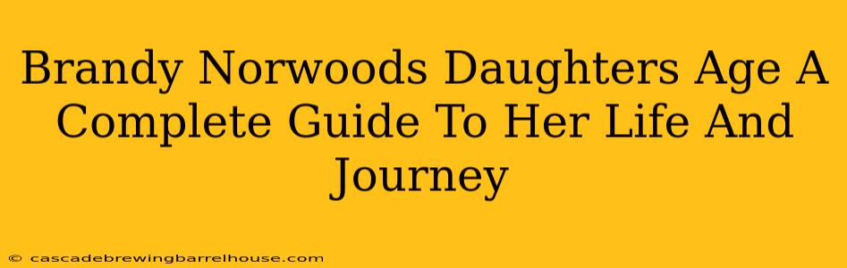 Brandy Norwoods Daughters Age A Complete Guide To Her Life And Journey