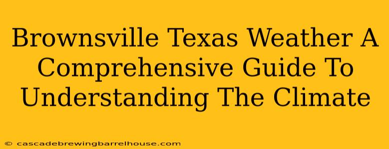 Brownsville Texas Weather A Comprehensive Guide To Understanding The Climate