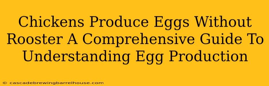 Chickens Produce Eggs Without Rooster A Comprehensive Guide To Understanding Egg Production