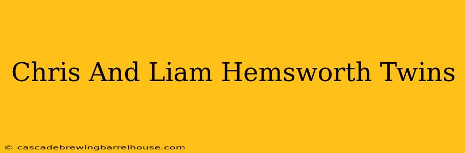 Chris And Liam Hemsworth Twins