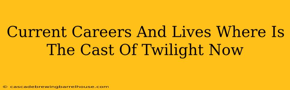 Current Careers And Lives Where Is The Cast Of Twilight Now