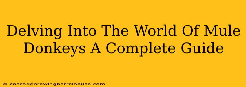 Delving Into The World Of Mule Donkeys A Complete Guide
