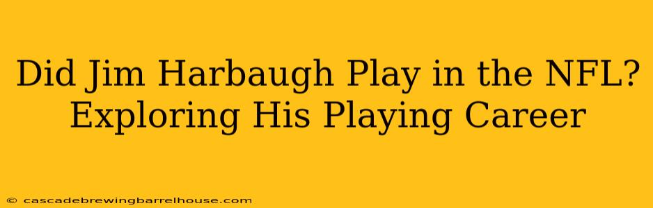 Did Jim Harbaugh Play in the NFL? Exploring His Playing Career