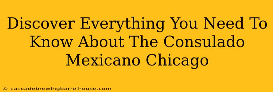 Discover Everything You Need To Know About The Consulado Mexicano Chicago
