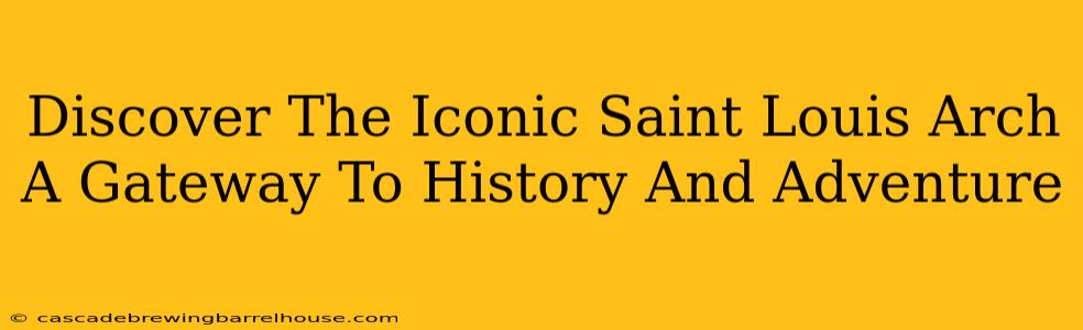 Discover The Iconic Saint Louis Arch A Gateway To History And Adventure