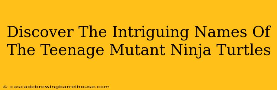 Discover The Intriguing Names Of The Teenage Mutant Ninja Turtles
