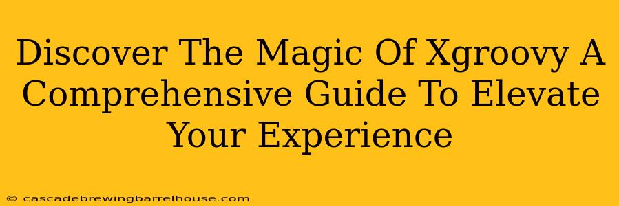 Discover The Magic Of Xgroovy A Comprehensive Guide To Elevate Your Experience
