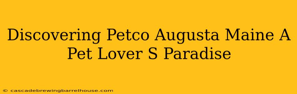 Discovering Petco Augusta Maine A Pet Lover S Paradise