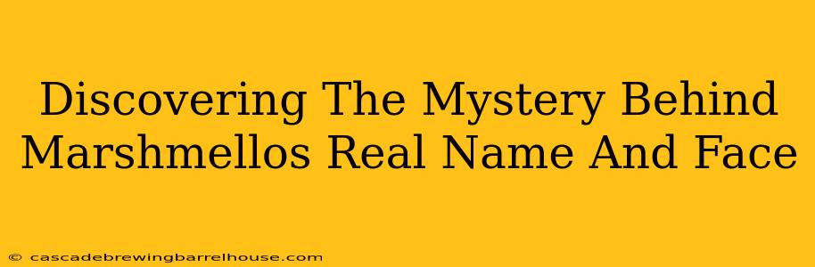 Discovering The Mystery Behind Marshmellos Real Name And Face