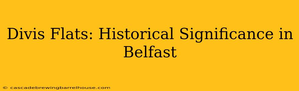 Divis Flats: Historical Significance in Belfast