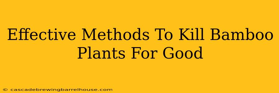 Effective Methods To Kill Bamboo Plants For Good