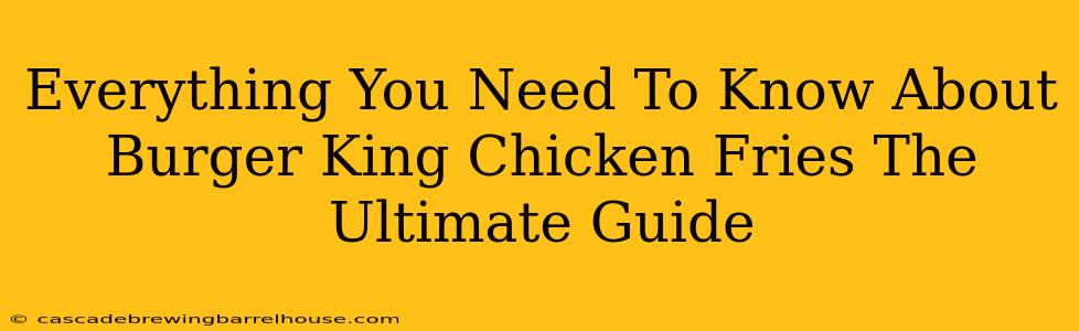 Everything You Need To Know About Burger King Chicken Fries The Ultimate Guide