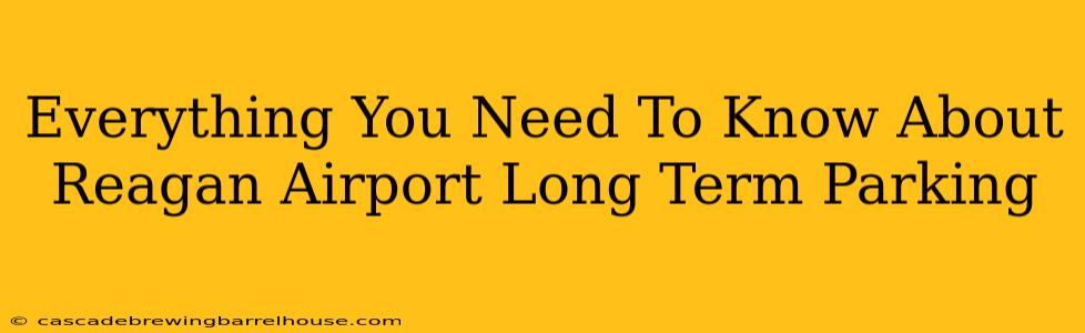 Everything You Need To Know About Reagan Airport Long Term Parking
