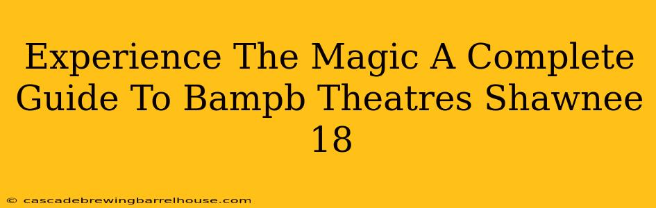 Experience The Magic A Complete Guide To Bampb Theatres Shawnee 18