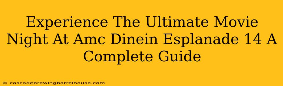 Experience The Ultimate Movie Night At Amc Dinein Esplanade 14 A Complete Guide
