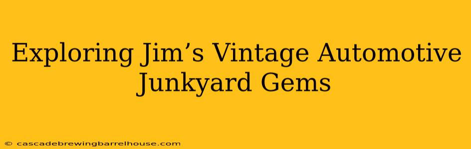 Exploring Jim’s Vintage Automotive Junkyard Gems