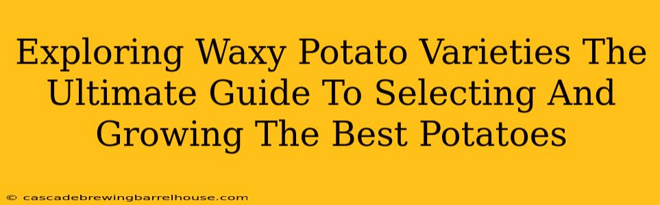 Exploring Waxy Potato Varieties The Ultimate Guide To Selecting And Growing The Best Potatoes