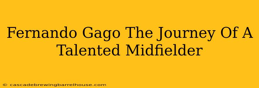 Fernando Gago The Journey Of A Talented Midfielder