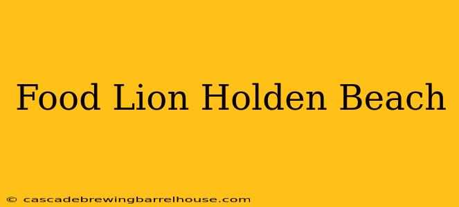 Food Lion Holden Beach