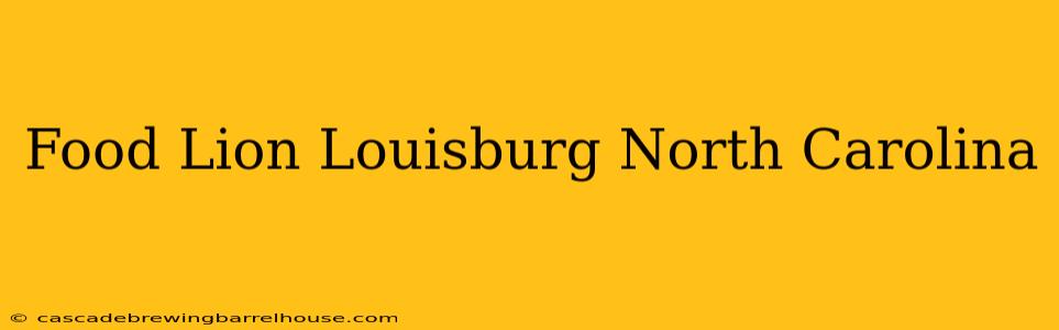 Food Lion Louisburg North Carolina