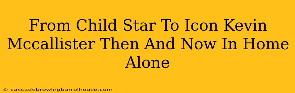 From Child Star To Icon Kevin Mccallister Then And Now In Home Alone