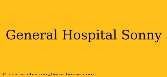 General Hospital Sonny