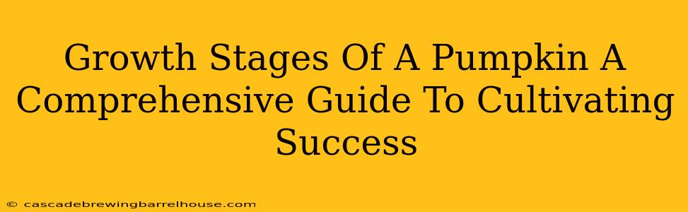 Growth Stages Of A Pumpkin A Comprehensive Guide To Cultivating Success