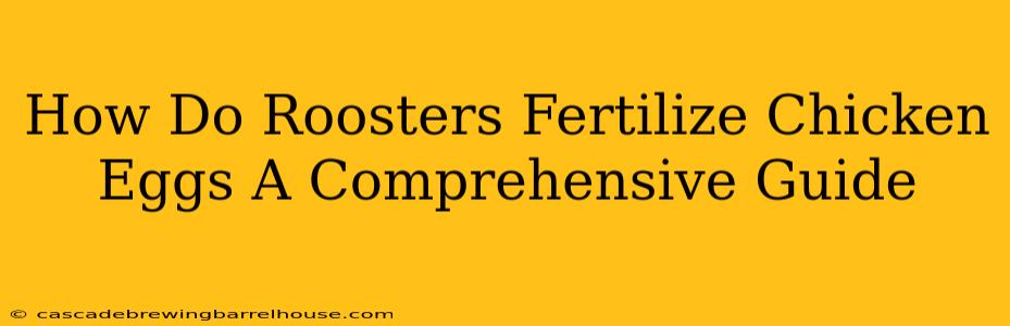 How Do Roosters Fertilize Chicken Eggs A Comprehensive Guide