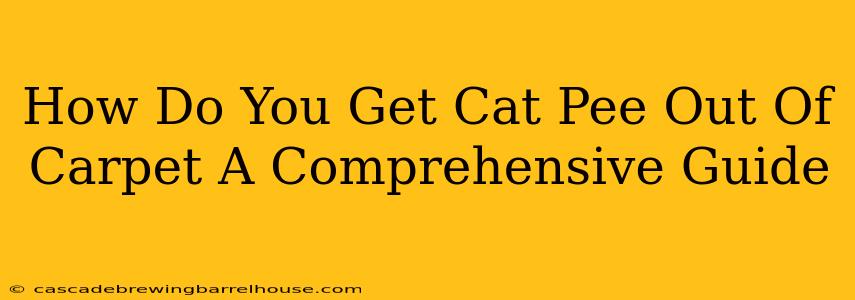 How Do You Get Cat Pee Out Of Carpet A Comprehensive Guide