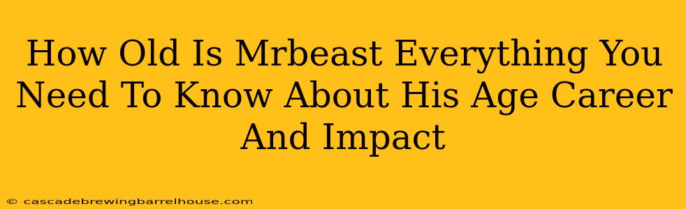 How Old Is Mrbeast Everything You Need To Know About His Age Career And Impact