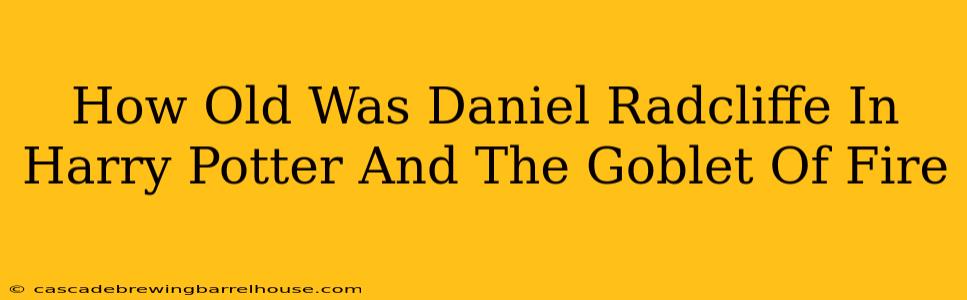How Old Was Daniel Radcliffe In Harry Potter And The Goblet Of Fire