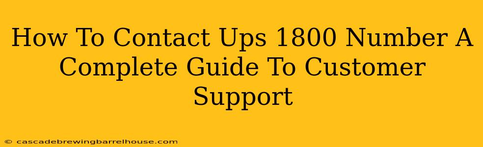 How To Contact Ups 1800 Number A Complete Guide To Customer Support