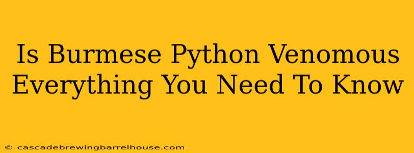 Is Burmese Python Venomous Everything You Need To Know