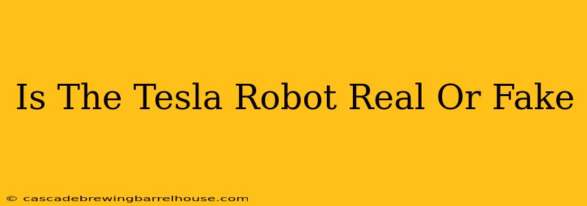 Is The Tesla Robot Real Or Fake