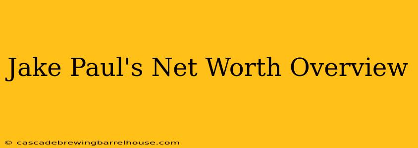 Jake Paul's Net Worth Overview