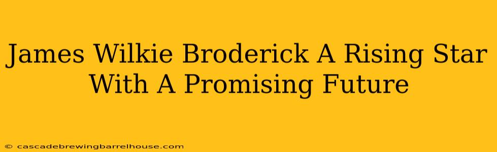 James Wilkie Broderick A Rising Star With A Promising Future