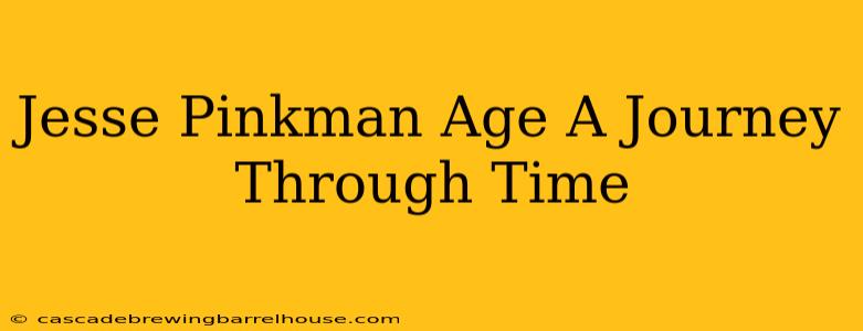 Jesse Pinkman Age A Journey Through Time