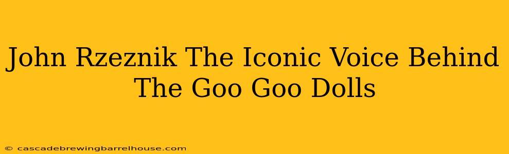 John Rzeznik The Iconic Voice Behind The Goo Goo Dolls