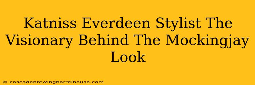 Katniss Everdeen Stylist The Visionary Behind The Mockingjay Look