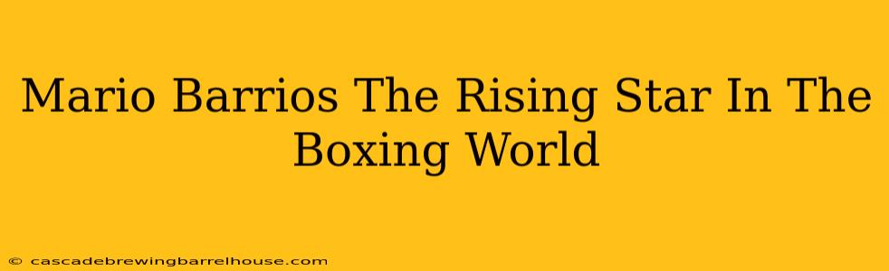 Mario Barrios The Rising Star In The Boxing World