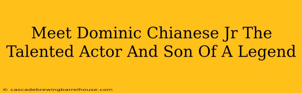 Meet Dominic Chianese Jr The Talented Actor And Son Of A Legend
