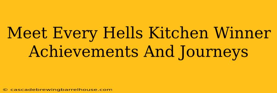 Meet Every Hells Kitchen Winner Achievements And Journeys