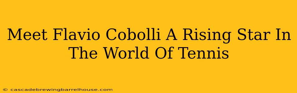 Meet Flavio Cobolli A Rising Star In The World Of Tennis