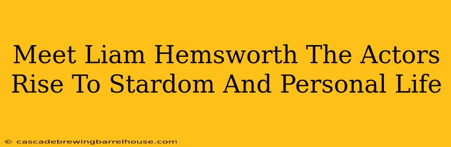 Meet Liam Hemsworth The Actors Rise To Stardom And Personal Life